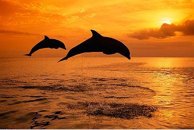 《地下城与勇士：决斗》“蓝拳圣使”角色DLC宣布3月14日上线