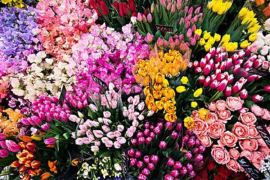 《刺客信条：影》PS5 Pro版分析：最具变革性的升级